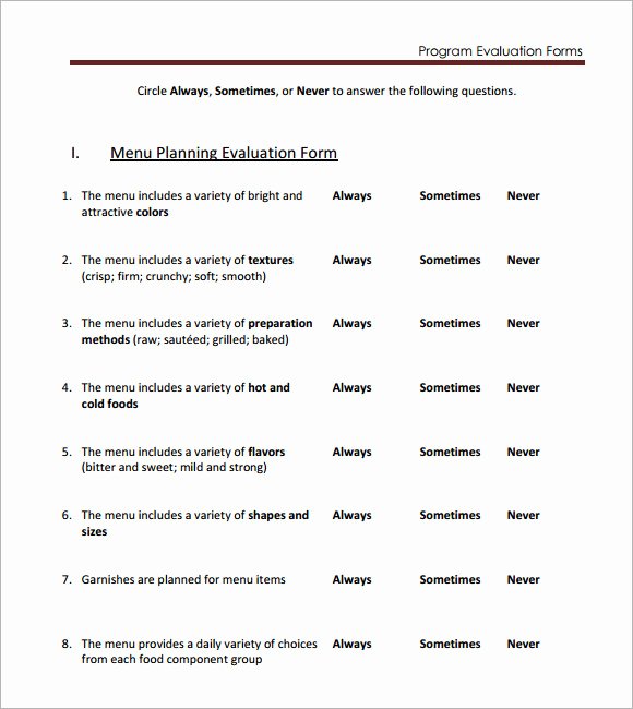 Project Evaluation Plan Template Lovely Sample Program Evaluation 6 Free Documents In Pdf