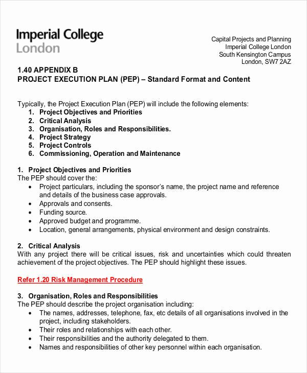 Project Execution Plan Template Inspirational 33 Sample Plan Templates
