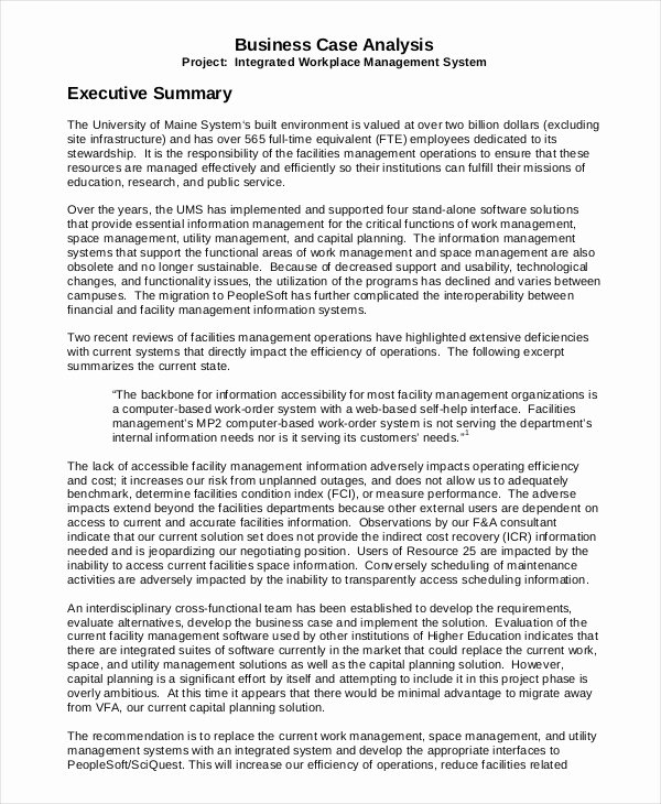 Project Management Executive Summary Template Best Of 20 Executive Summary Templates