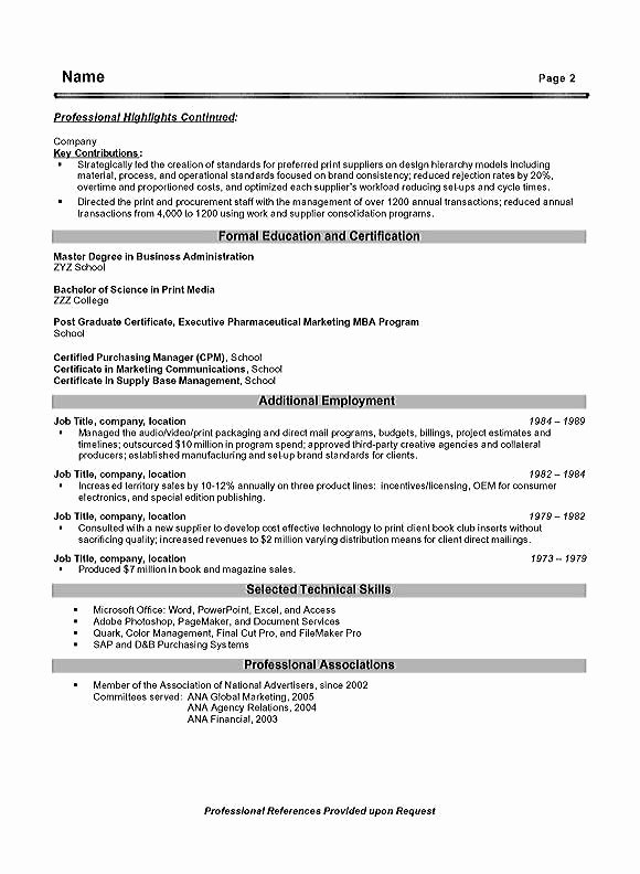 Project Management Executive Summary Template Elegant Project Management Executive Resume Example