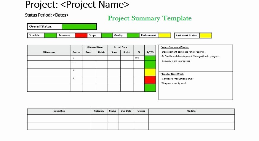 Project Management Executive Summary Template Unique Get Project Summary Template