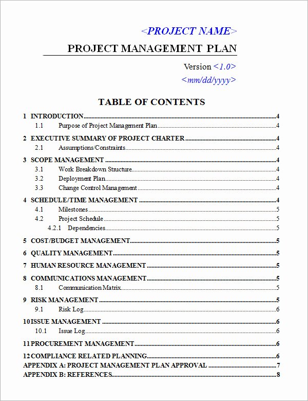 Project Management Plan Template Word Best Of 19 Useful Sample Project Plan Templates to Downlaod