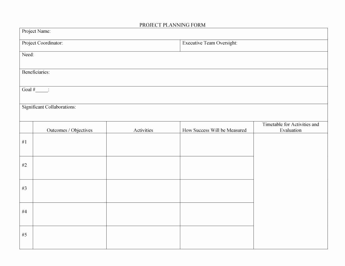 Project Management Plan Template Word Luxury 48 Professional Project Plan Templates [excel Word Pdf