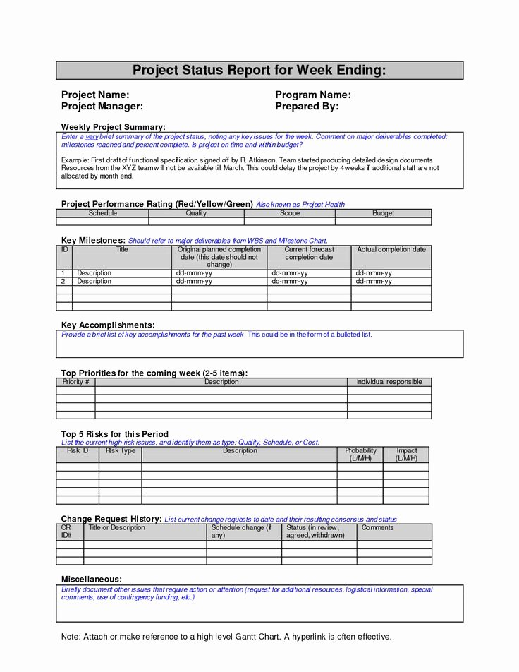 Project Management Report Template Best Of Best 25 Project Status Report Ideas On Pinterest