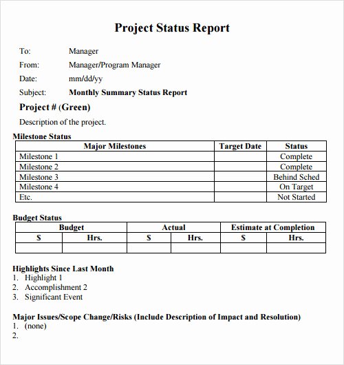 Project Management Status Report Template Elegant Project Status Report Template Excel Download Filetype Xls