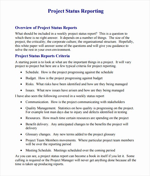 Project Management Status Report Template Lovely 14 Sample Project Status Reports – Pdf Word Pages