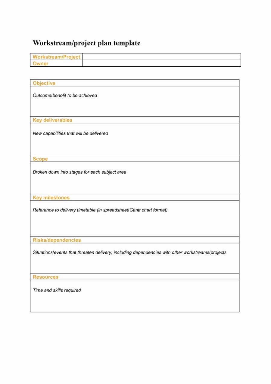 Project Plan Outline Template Elegant 48 Professional Project Plan Templates [excel Word Pdf
