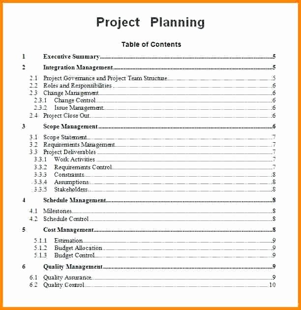 Project Plan Outline Template New Project Plan Document Template – Azserverfo