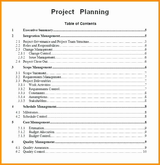 Project Schedule Template Word New Planning Statement Template Project Plan Word Sample 2 6 M