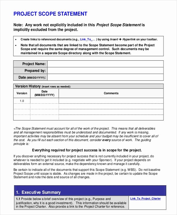Project Scope Statement Template Inspirational 10 Statement Templates Free Word Pdf Documents