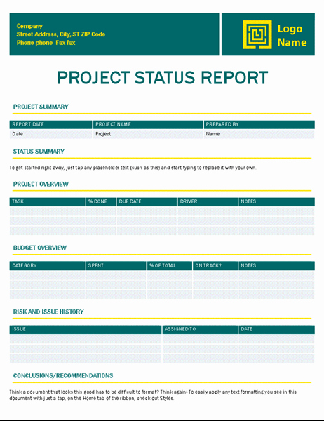 Project Status Report Template Excel Beautiful Project Status Report Timeless Design
