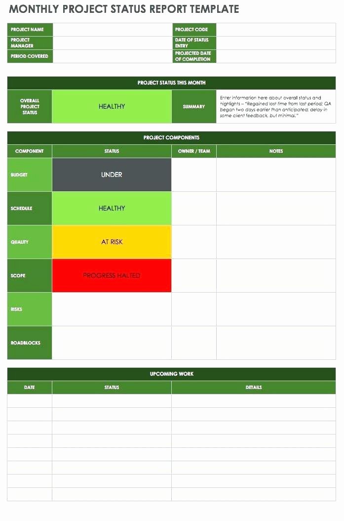 Project Status Report Template Excel Best Of Project Progress Report Template Monthly Status Excel