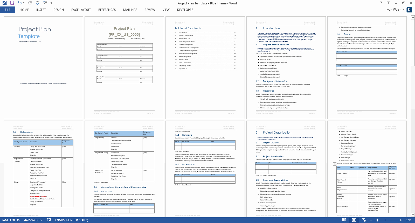 Project Template Microsoft Word Beautiful Project Plan Template – Download Ms Word &amp; Excel forms