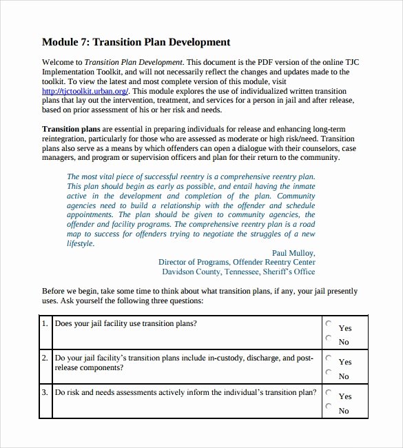 Project Transition Plan Template Luxury Transition Plan Template 9 Download Documents In Pdf