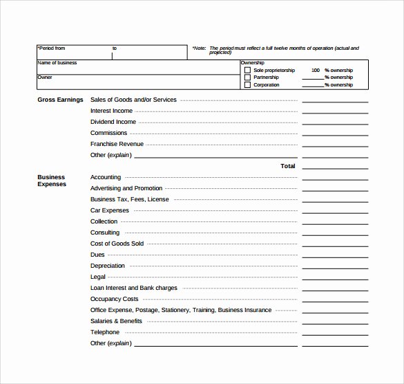 Projected Income Statement Template New 12 Projected In E Statement Templates