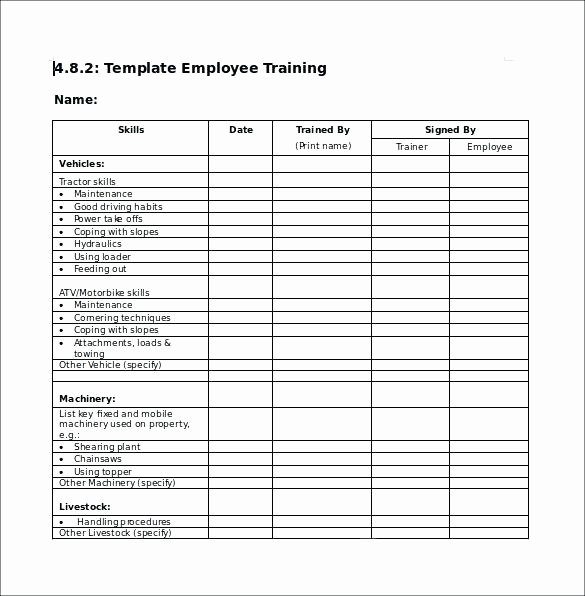 Punch List Template Pdf Beautiful Punch List Template Pdf Training Checklist Samples Sample