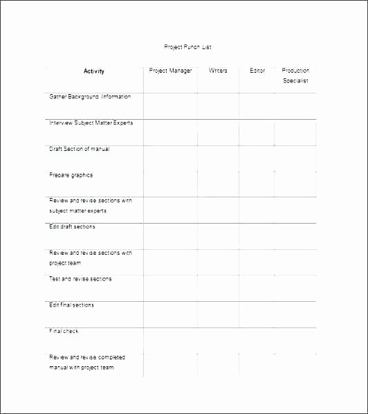Punch List Template Pdf Luxury Punch List Sample Pdf Project Management Checklist