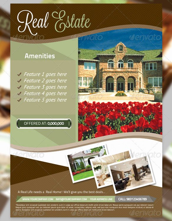 Real Estate Flyer Template Word Beautiful 13 Real Estate Flyer Templates Excel Pdf formats