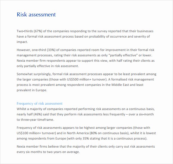 Risk Management Report Template New 14 Sample Management Reports