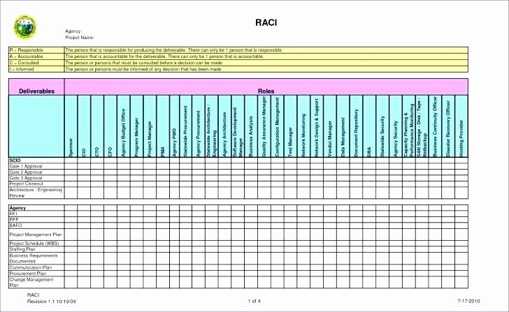 Roles and Responsibilities Template Excel Inspirational Roles and Responsibilities Template Excel Project Matrix
