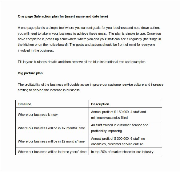 Sales Action Plan Template Best Of Sales Action Plan Template – 11 Free Word Excel Pdf