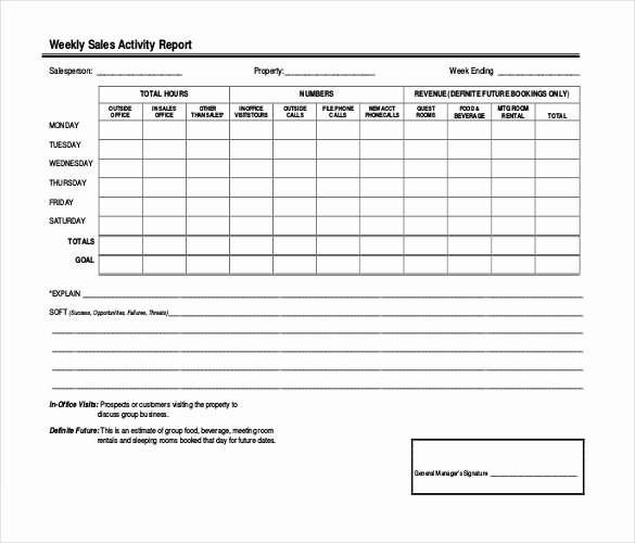 Sales Activity Report Template Beautiful 18 Weekly Report Template Free Sample Example format