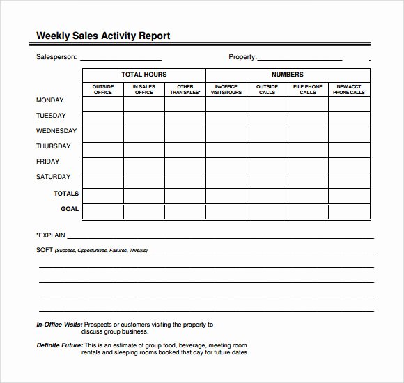 Sales Activity Report Template Elegant 12 Sales Call Report Sample – Free Examples &amp; format