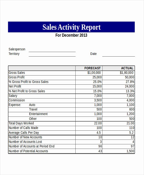 Sales Activity Report Template Lovely 13 Sales Report Example &amp; Samples Pdf Word Pages