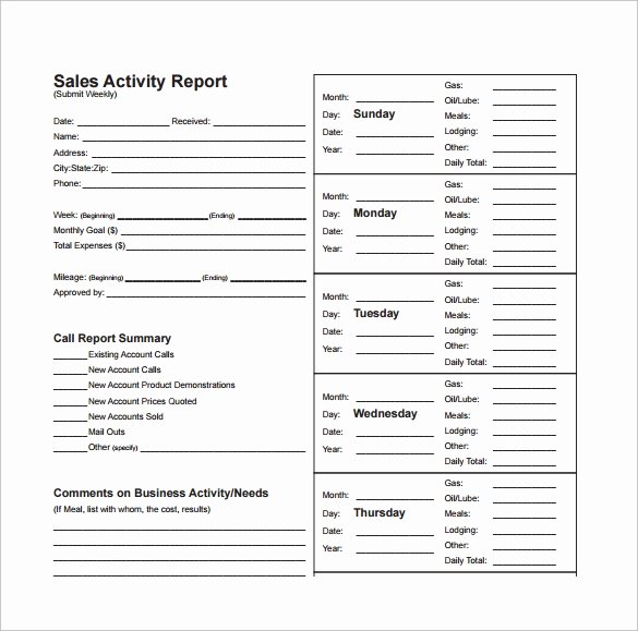 Sales Activity Report Template Lovely 13 Sales Report Templates