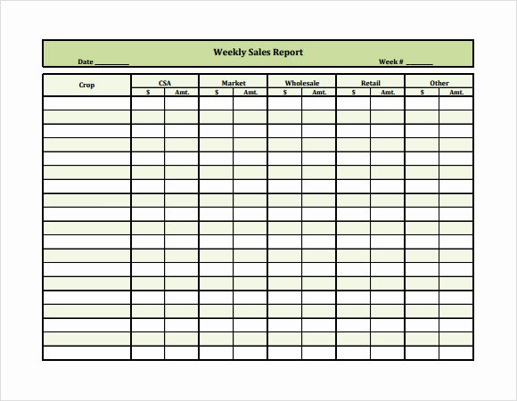 Sales Call Report Template Inspirational Sample Weekly Report Template 15 Free Documents In Pdf