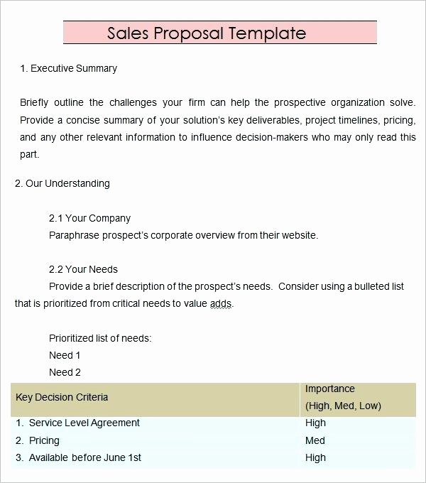 Sales Proposal Template Word Inspirational 6 E Page Business Proposal Example Sales Pitch Template