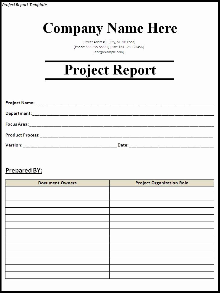 Sales Report Template Excel Awesome Project Status Report Template Project Report Template