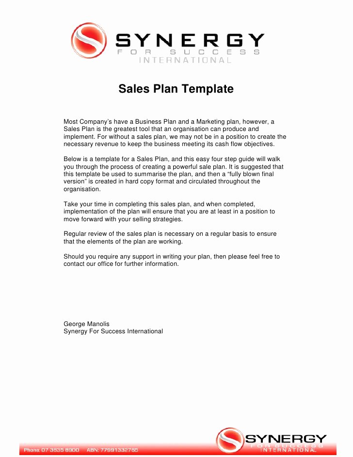 Sales Strategy Plan Template Awesome Sales Plan Template