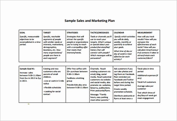 Sales Strategy Plan Template Inspirational Sales Plan Template 23 Free Sample Example format