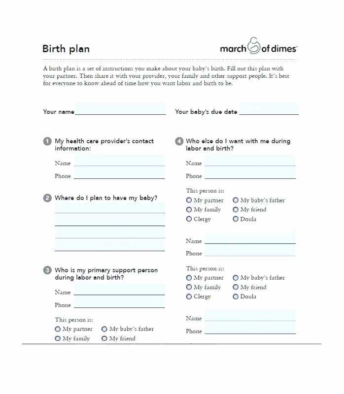 Sample Birthing Plan Template Best Of Home Birth Plan Template Printable Best Sample Uk Examples