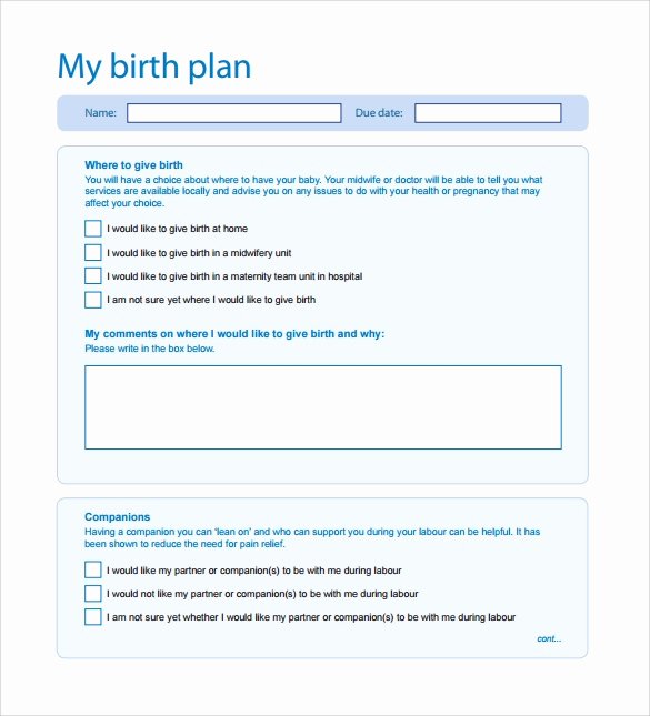 Sample Birthing Plan Template Elegant 22 Sample Birth Plan Templates – Pdf Word Apple Pages