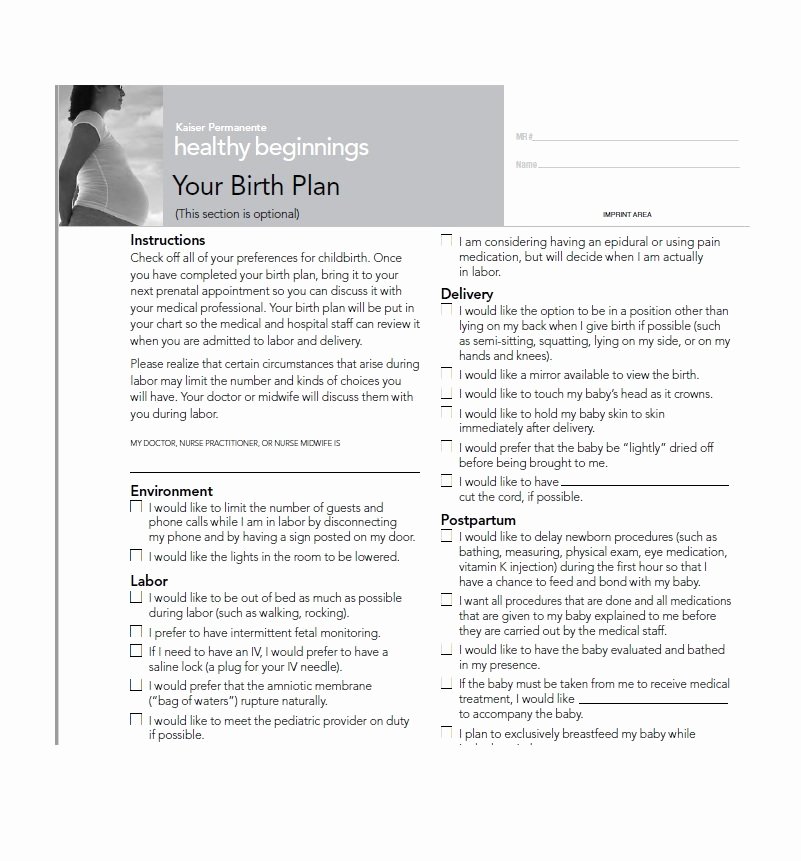 Sample Birthing Plan Template Fresh 47 Printable Birth Plan Templates [birth Plan Checklist