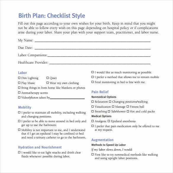Sample Birthing Plan Template Lovely 22 Sample Birth Plan Templates – Pdf Word Apple Pages