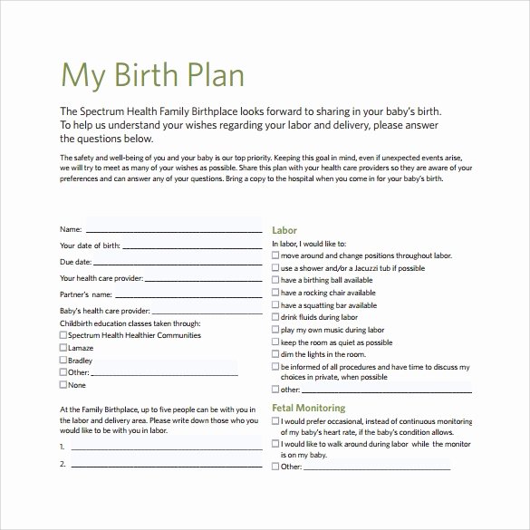 Sample Birthing Plan Template Luxury 22 Sample Birth Plan Templates – Pdf Word Apple Pages