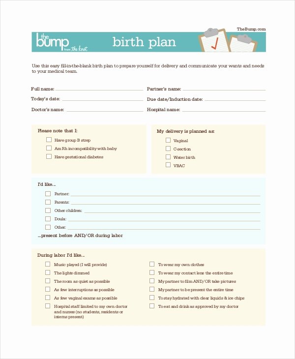 Sample Birthing Plan Template Luxury Birth Plan Template 9 Free Word Pdf Documents Download