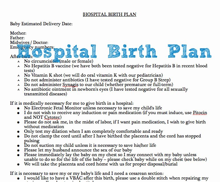 Sample Birthing Plan Template Unique Example Of Hospital Birth Plan Free Printable