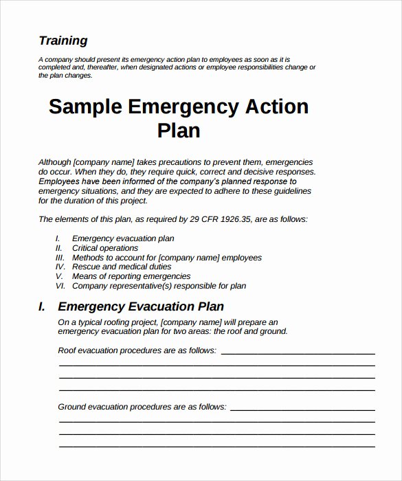 Sample Emergency Evacuation Plan Template Awesome 11 Sample Emergency Action Plan Templates