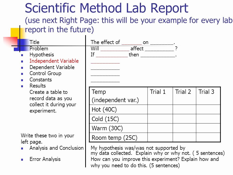 Scientific Lab Report Template Best Of Scientific Method Use Cornell Note Taking to Write the
