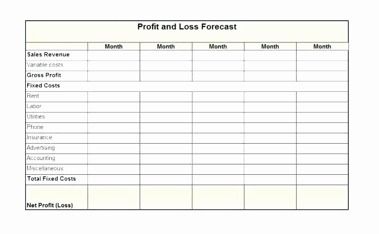 Self Employment Income Statement Template Awesome Monthly Profit and Loss Template Best Statement Free
