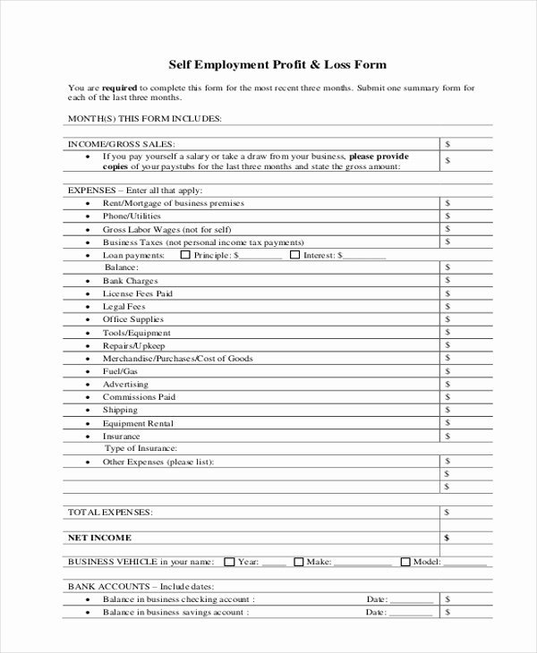 Self Employment Income Statement Template Best Of Sample Profit and Loss form 9 Free Documents In Pdf