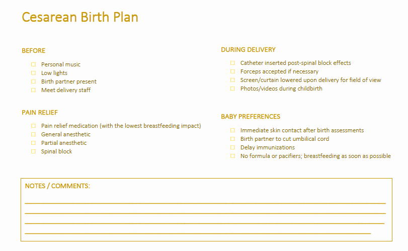 Simple Birth Plan Template Beautiful 5 Birth Plan Templates