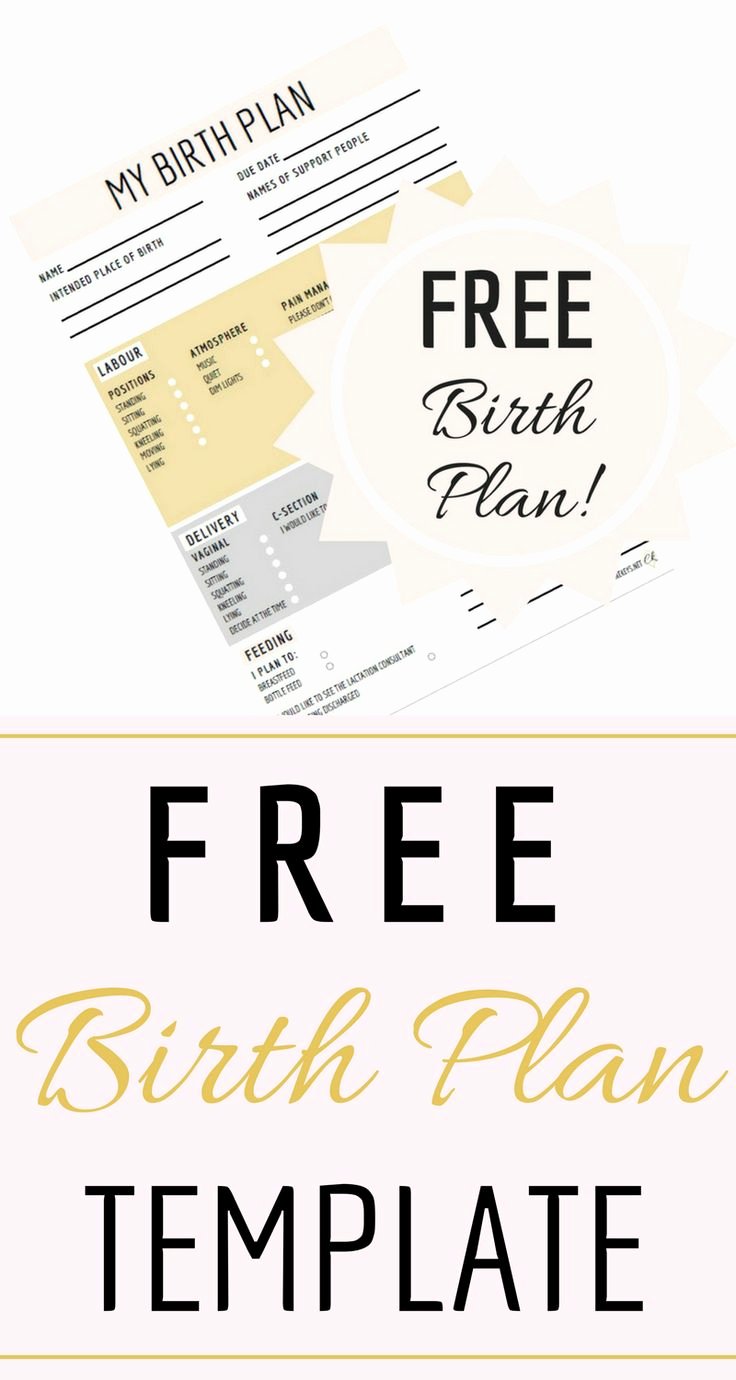 Simple Birth Plan Template Best Of the 25 Best Birth Plan Printable Ideas On Pinterest