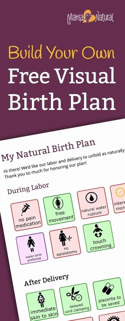 Simple Birth Plan Template Elegant Free Visual Birth Plan Template that Nurses Won T Scoff