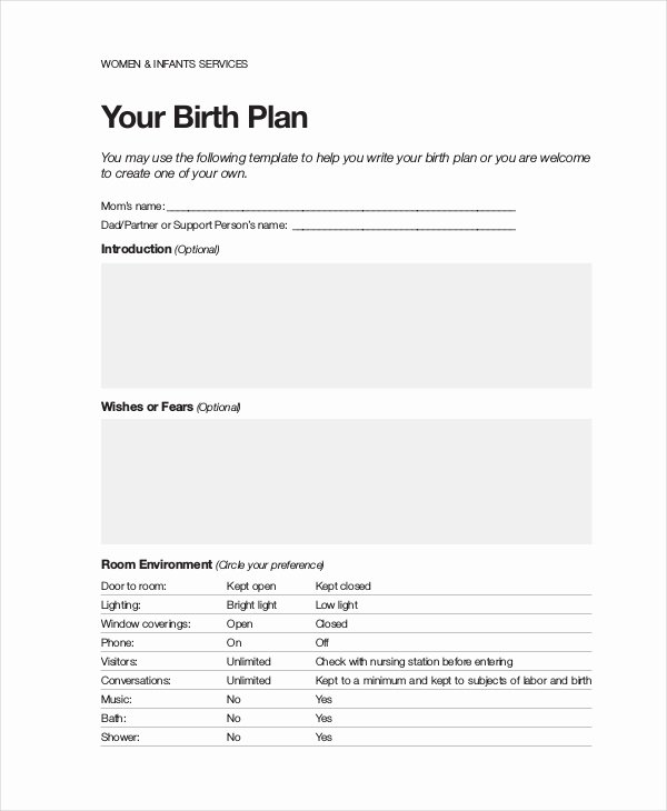 Simple Birth Plan Template Fresh Birth Plan Template 9 Free Word Pdf Documents Download