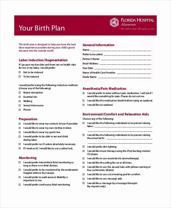 Simple Birth Plan Template Fresh Bradley Birth Plan Template Templates Collections